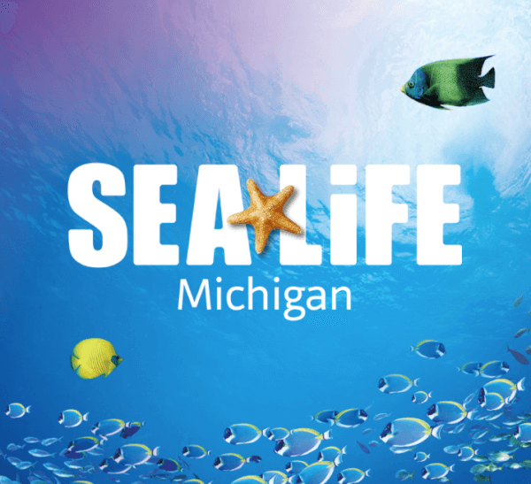 sea life michigan aquarium